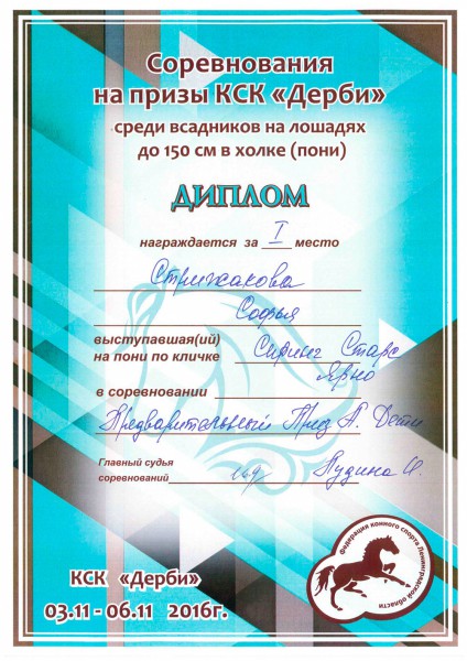 Pavel passport1